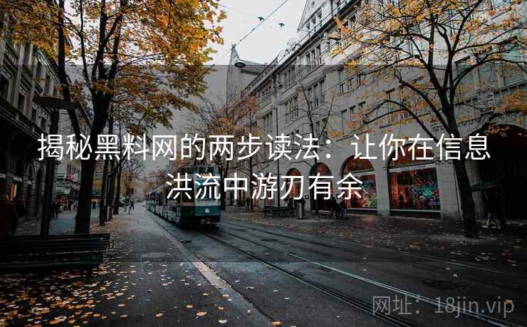 揭秘黑料网的两步读法：让你在信息洪流中游刃有余