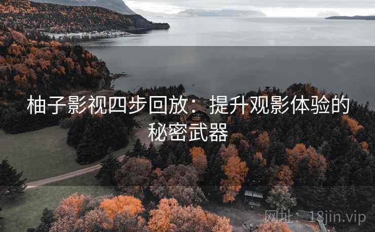 柚子影视四步回放：提升观影体验的秘密武器