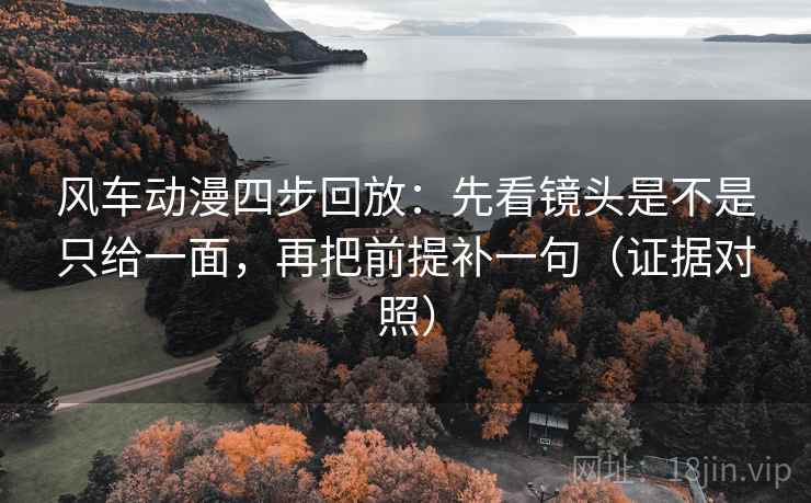 风车动漫四步回放：先看镜头是不是只给一面，再把前提补一句（证据对照）